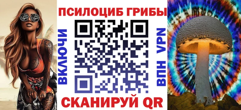 Галлюциногенные грибы мухоморы  Купить закладки  Дальнегорск 